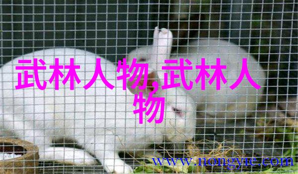 游戏古风帮派名字大全唯美清风剑舞门派拳种的绝唱