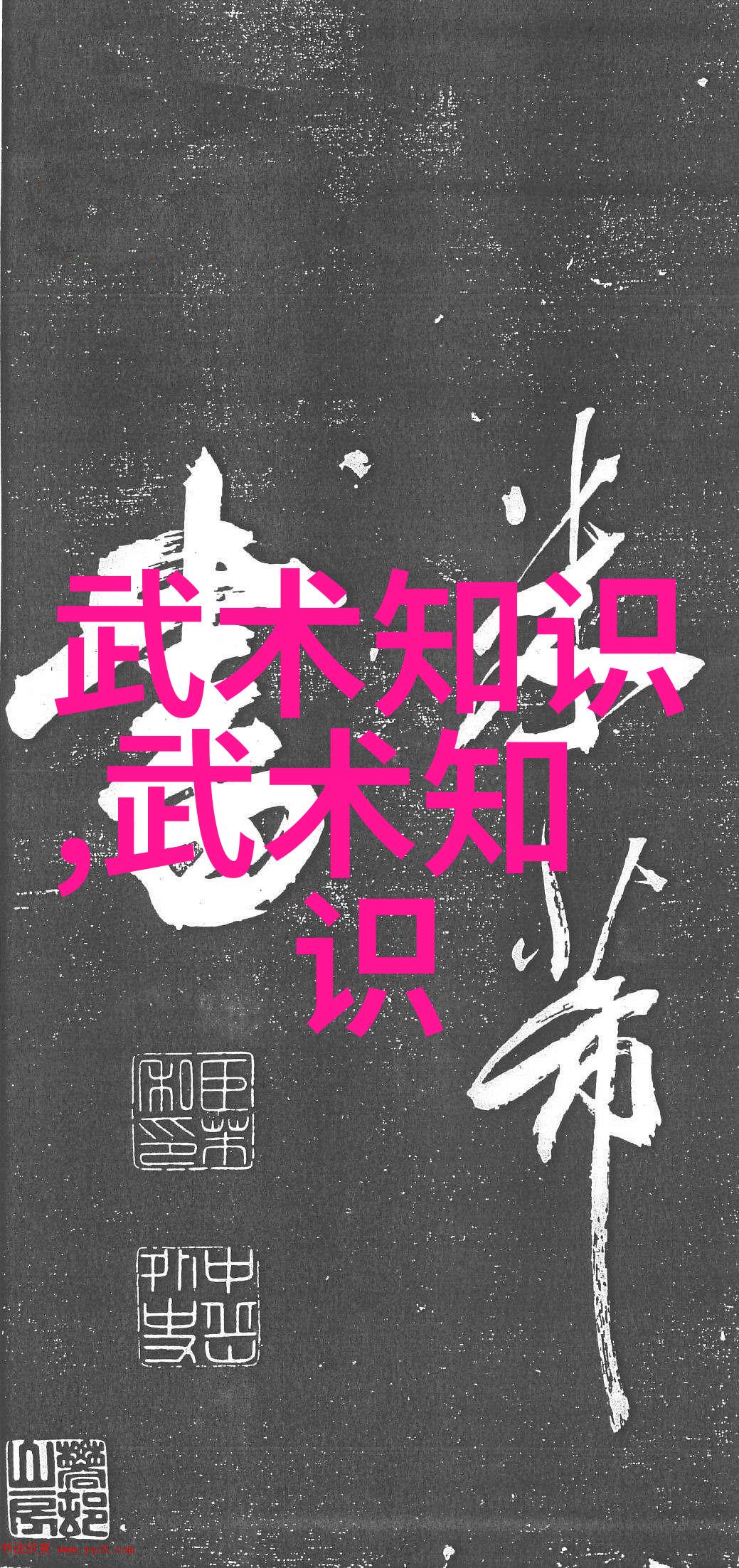 武学秘笈揭秘中国古代武术典籍的奥义与传承