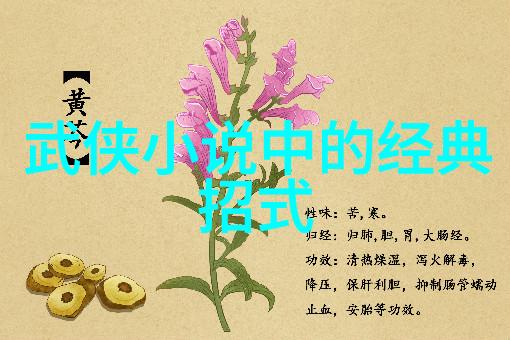 潍坊四通捶拳武术智慧的精彩表演