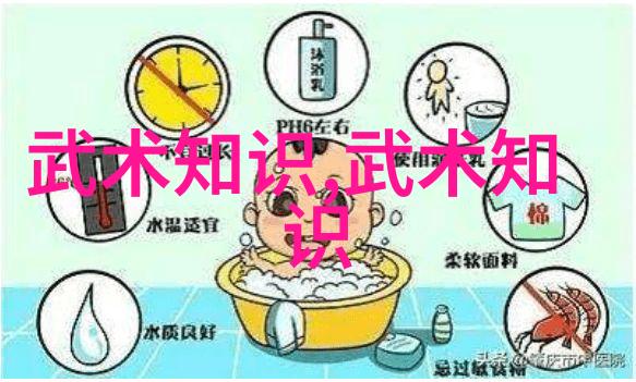 2022年2月职业拳击赛将揭开神秘面纱谁能成为新的冠军