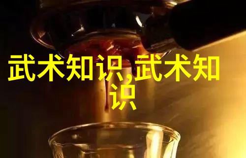 传统与创新并存 新时代下的少林拳法革新探索