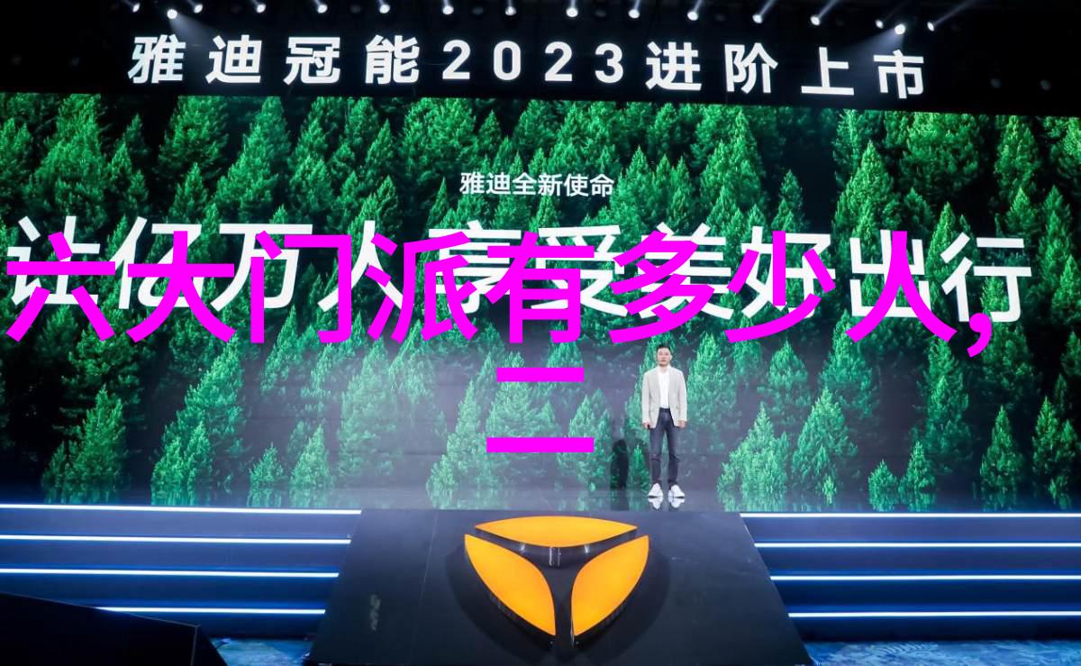 全球范围内最受欢迎的武学比赛项目介绍
