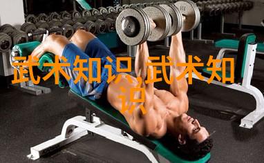 武术探秘-形意拳最怕哪种拳揭秘内家外派对决的智慧