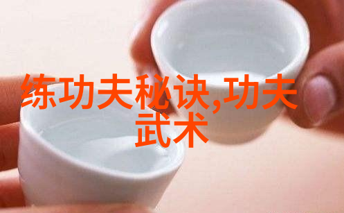 幻境之主碧波宗的崛起