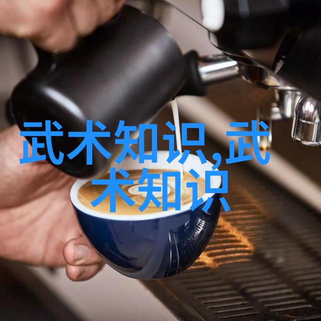 武林秘籍集古老武功秘籍的收集与研究