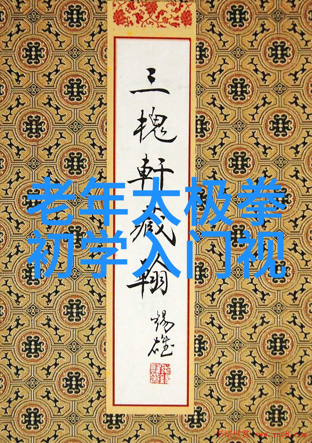 武林秘笈功夫练习的艺术与智慧