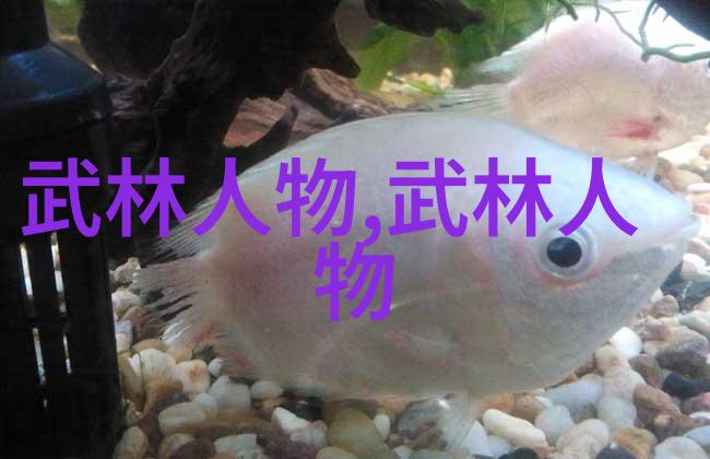 太极拳静和动的姿势要求揭秘武功与武术在社会中的区别
