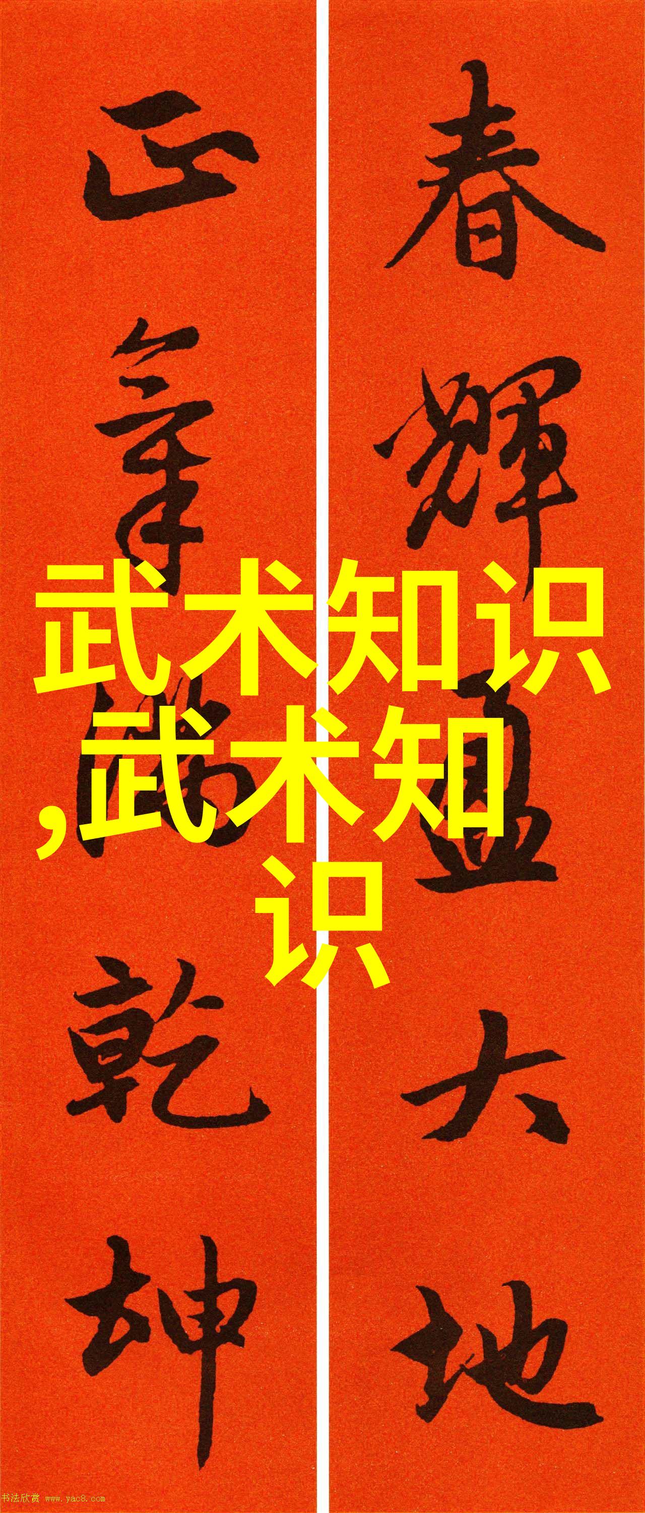 学游泳瘦身飞跃魔鬼训练词典