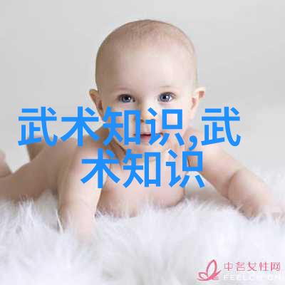 武术探秘-揭秘中国十大最强武术传统与现代的巅峰之作
