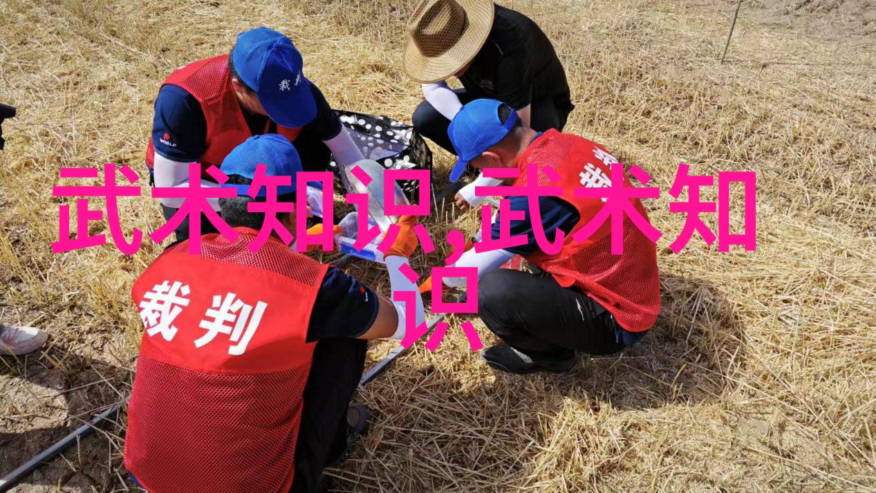 解密太极奥秘深入浅出的24式太极拳口诀表讲解