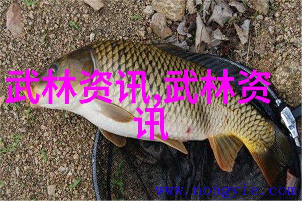淘米弹弹堂2-超级射击挑战淘米弹弹堂2的快感与策略