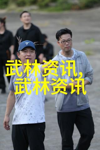 武林高手的双重面纱揭秘武功与武术的奥义古老武学技巧与现代体育运动的区别