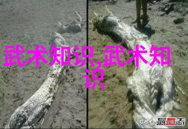 武林中最强的秘密是什么