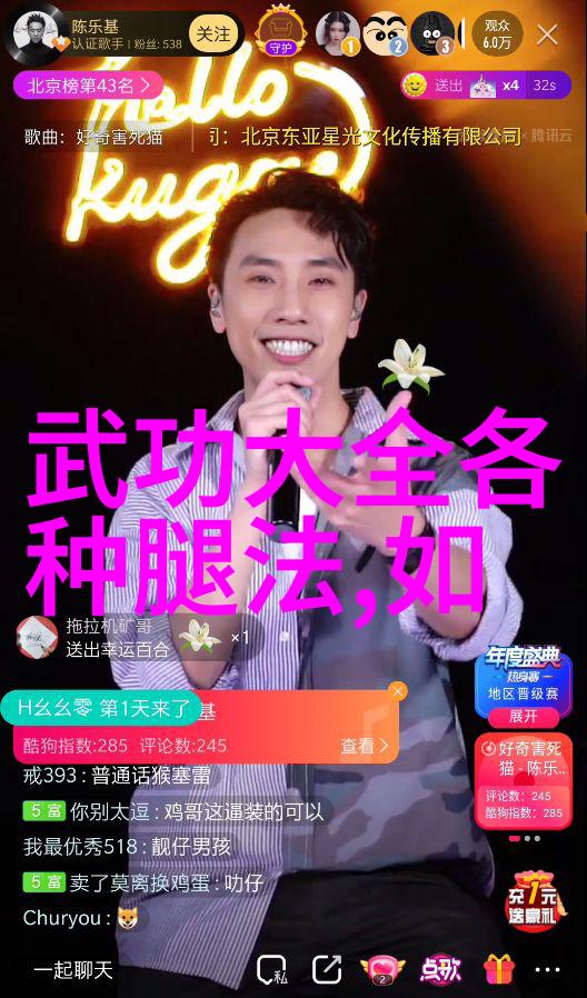 武术奇迹解锁四十式太极拳的口令奥秘