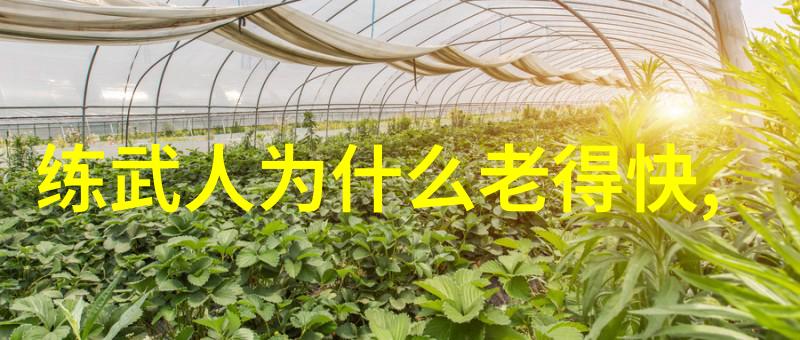 武当全真龙门派传人是谁我亲眼见证的绝世神功龙门派的秘密继承者