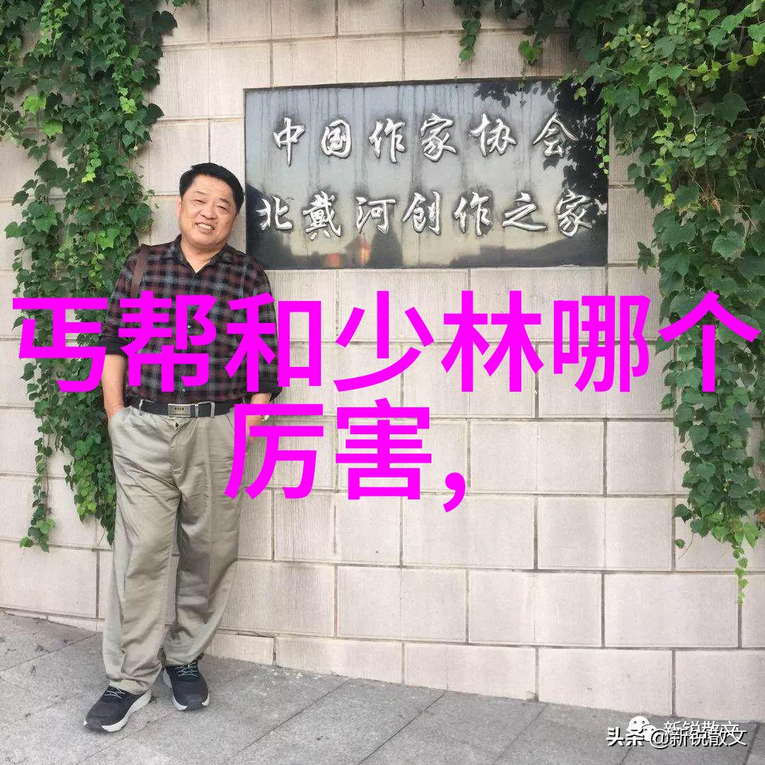 掌声连连揭秘中国十大最强武术哪门能让你一拳打飞天