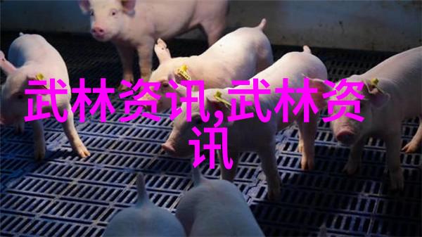 揭秘真实门派五行通臂拳背后的神秘修真世界