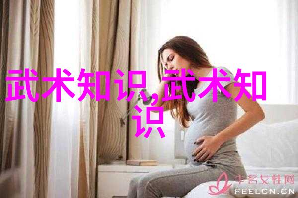 探索拳法世界入门之旅