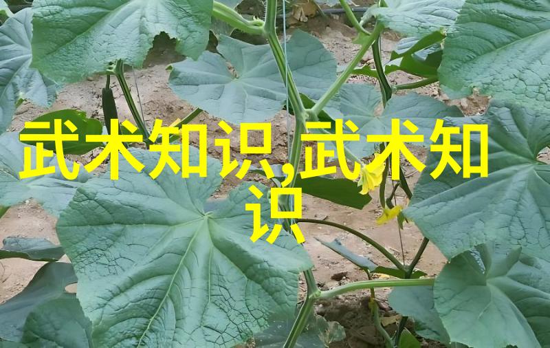 如何阻止广场上跳舞的人分散个人工作计划的写作