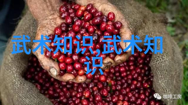 武术基本功网站我是怎么在网上找到的完美练习伙伴