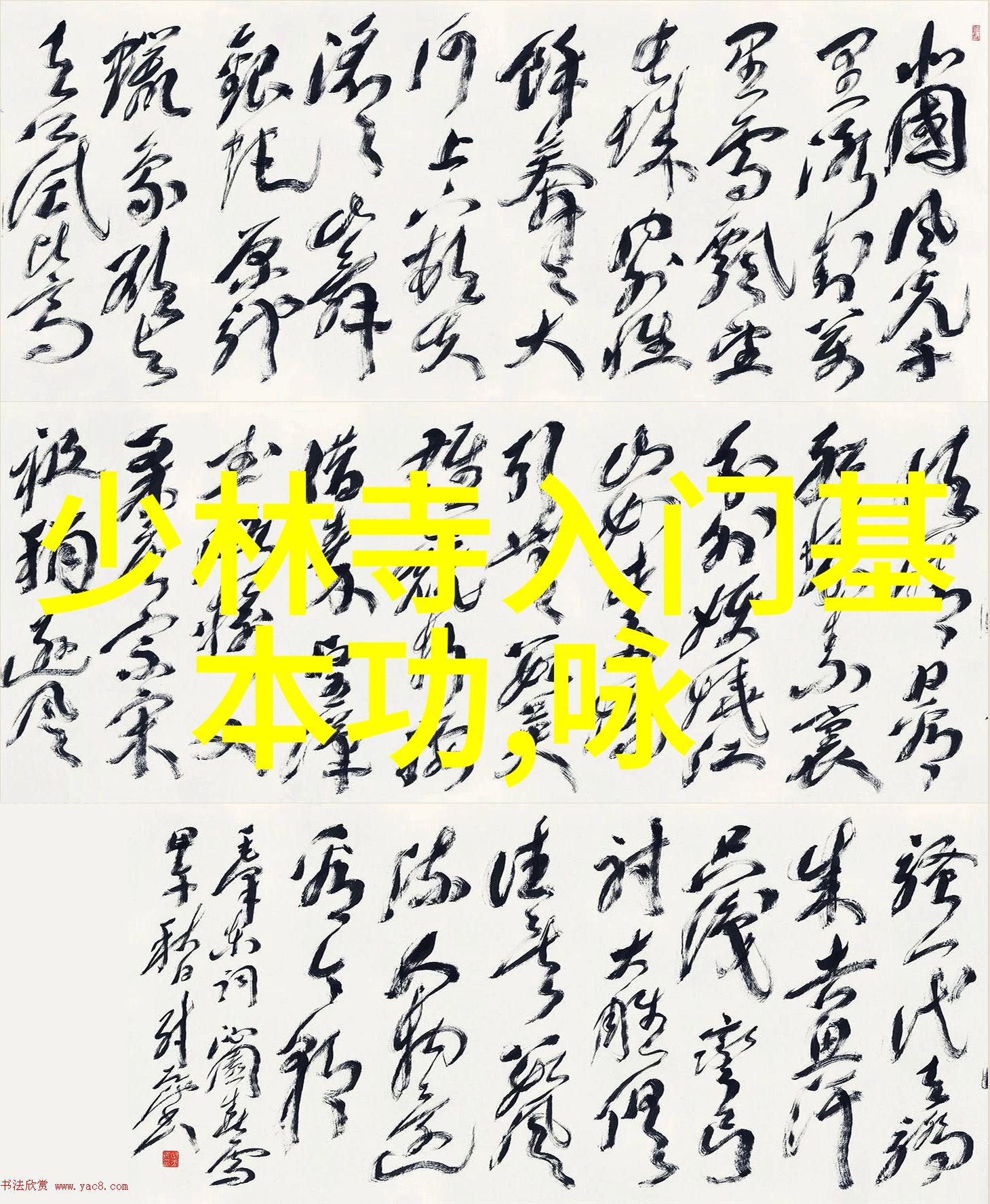 外面的哔哩哔哩一场街头的音乐与艺术探索