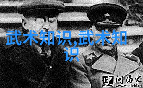 拳法精髓武功秘籍大全中的击打艺术