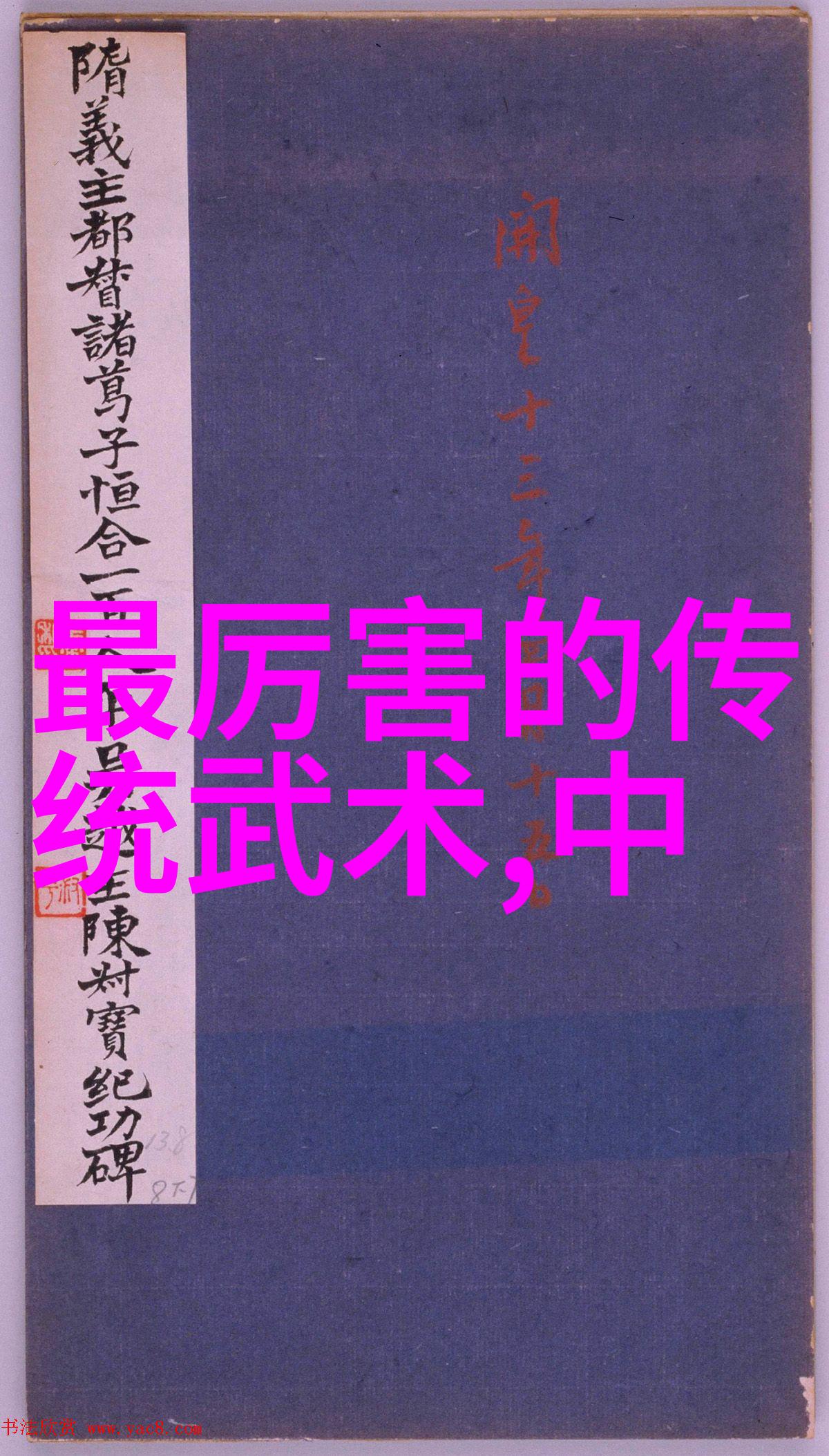 在古风诗意的联盟中岳家拳又是何方的拳种
