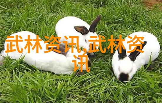 探讨中国游泳队的健身秘籍在自然环境中的应用