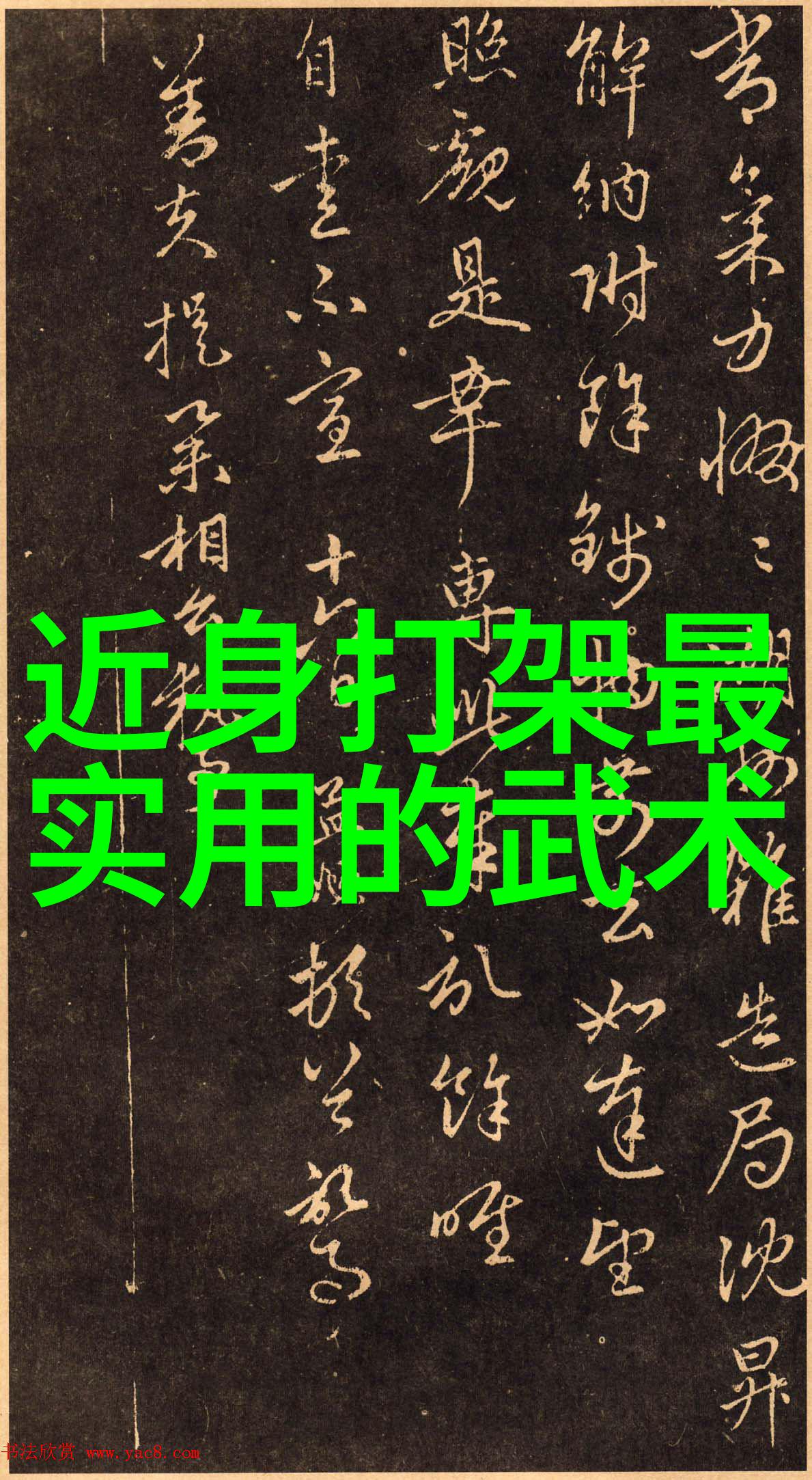 中国武术巅峰门派拳种武当太虚拳 - 中国十大最强武术中的奇迹之手