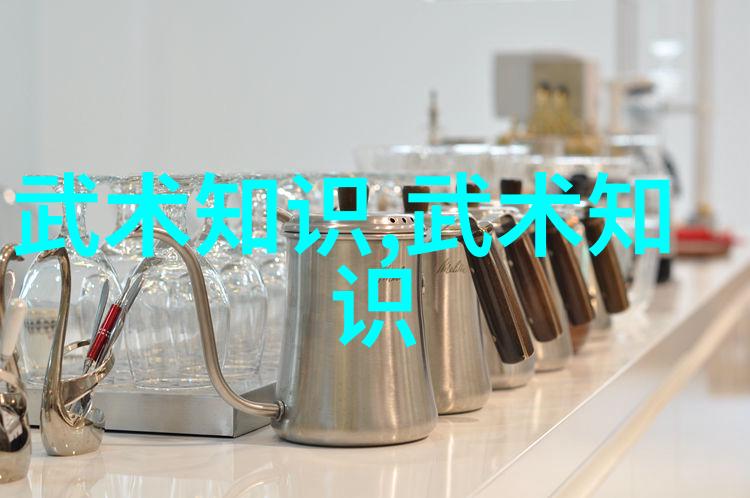 初学者应该如何快速掌握简易24式太極拳的基本动作呢