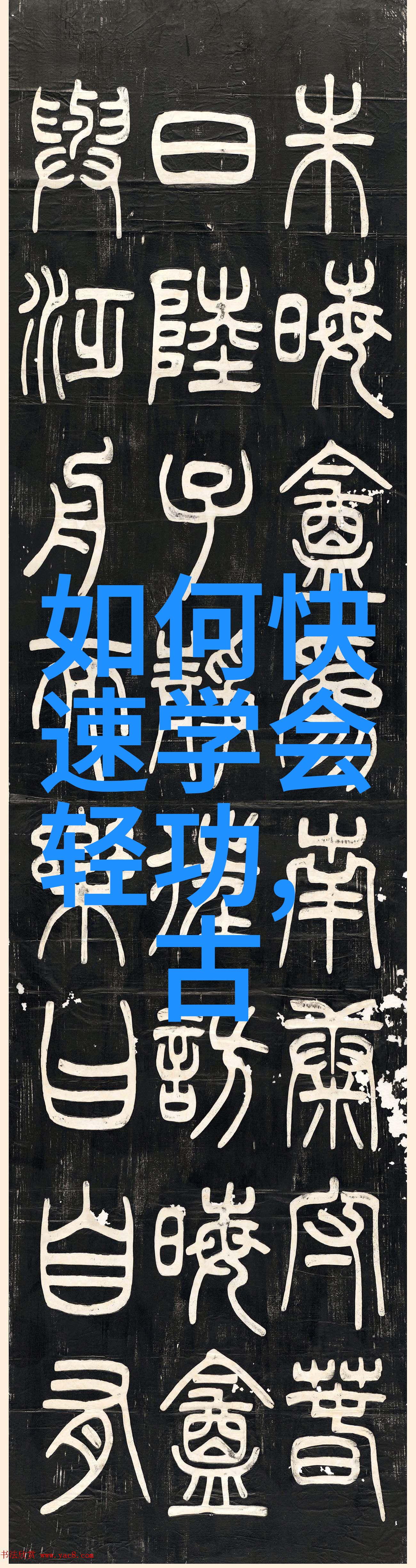 全国门派名单天津塘沽海下弹腿拳种详解