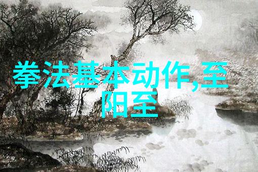 精通打架技巧学习和实践武术中的12大基本动作