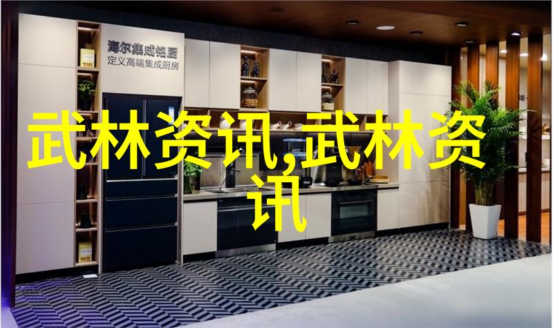 中国最著名的武术流派疯拳与正拳对决