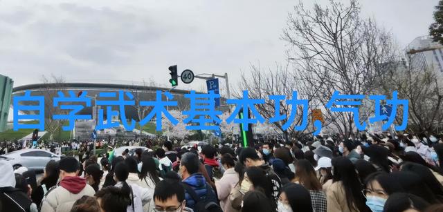 我想学武术自学怎么学揭秘成为武侠的第一步