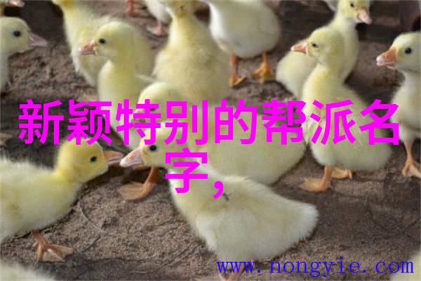 剑破九霄探索古代最强一刀流的奥秘