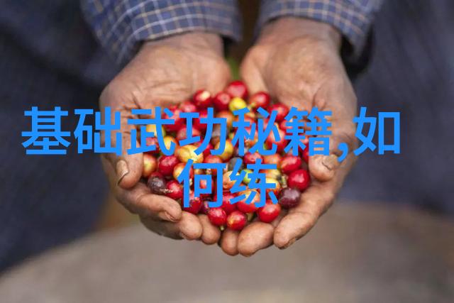 基础武功秘籍我怎么练成一名高手从这本神奇的秘籍开始
