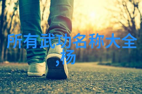 练轻功最快的方法太极拳推腿秘籍 - 张宝银