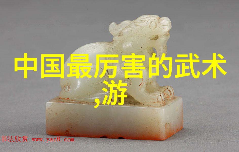 太极之韵揭秘内在的平衡与力量