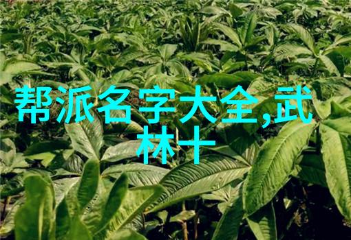 黑料不打烊ZZZTTT14. SU-夜未央揭秘黑料街头的永不沉寂