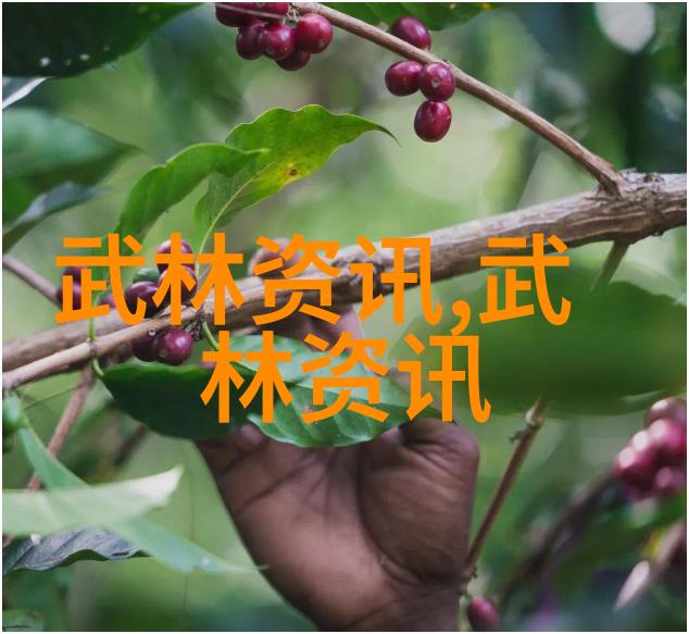 改正错误大众高尔夫汽车报价收杆完美