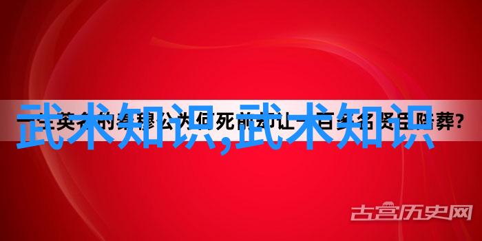 明月藏鹭我的夜空里的守护者
