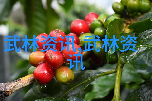 虚实之学在太极拳中至关重要犹如金庸小说中的武功名称大全在自然的景观中寻找平衡与和谐