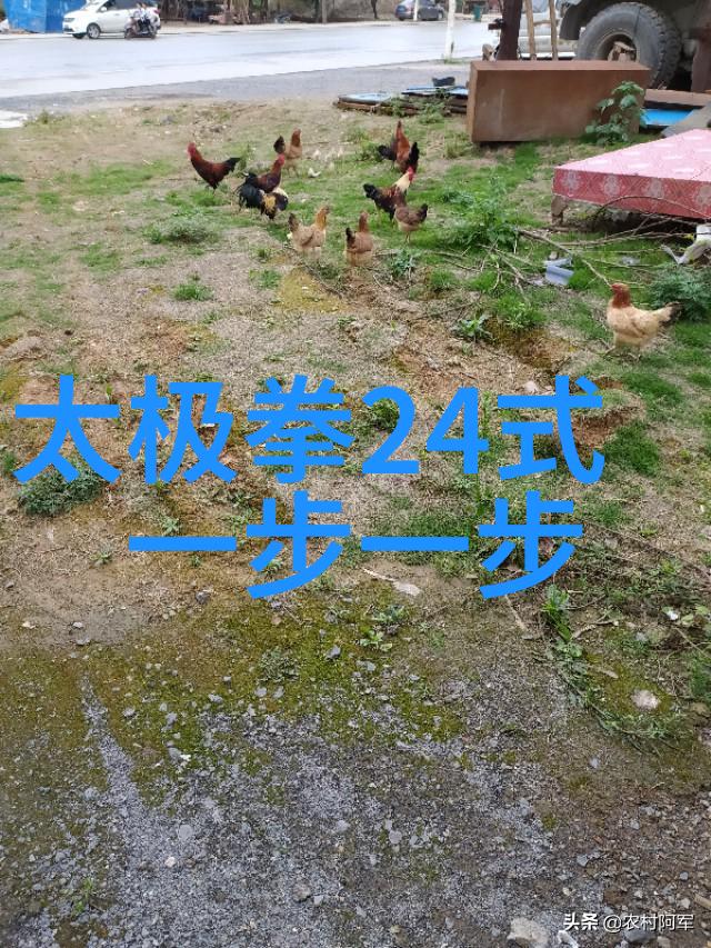 武术基本功网站我是如何在网上找到了提升拳脚的秘诀
