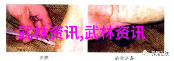 拳脚并进综合实战演练