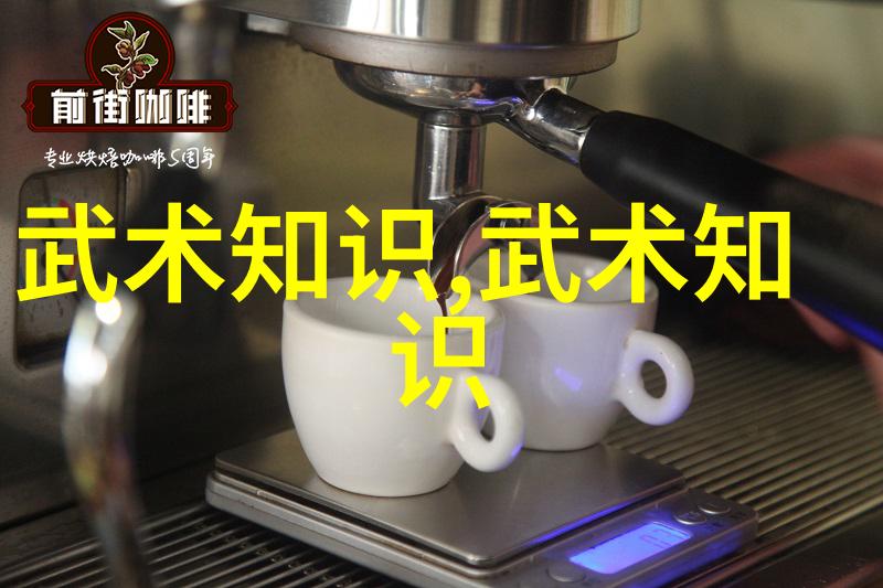 隐形杀手会武术的人的双刃剑