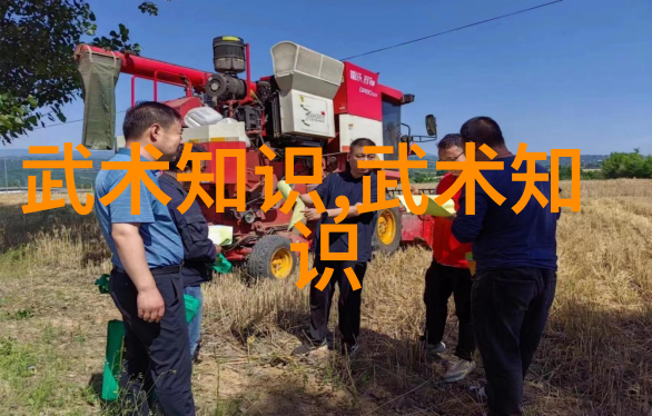太极功夫秘籍找感觉不难练拳就像画画一样感悟自然