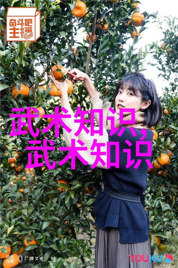 拳坛杂志2021年9月P4P排名暴力拳击小游戏榜单公布