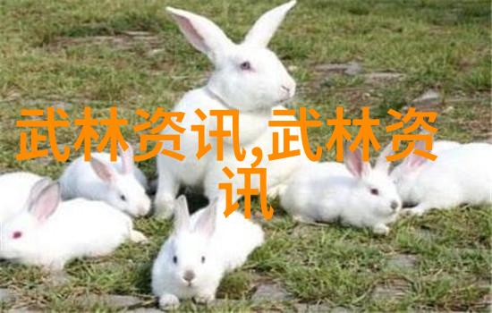 男人眼中的女人武功好-女侠如珠揭秘男人眼中的女人武学