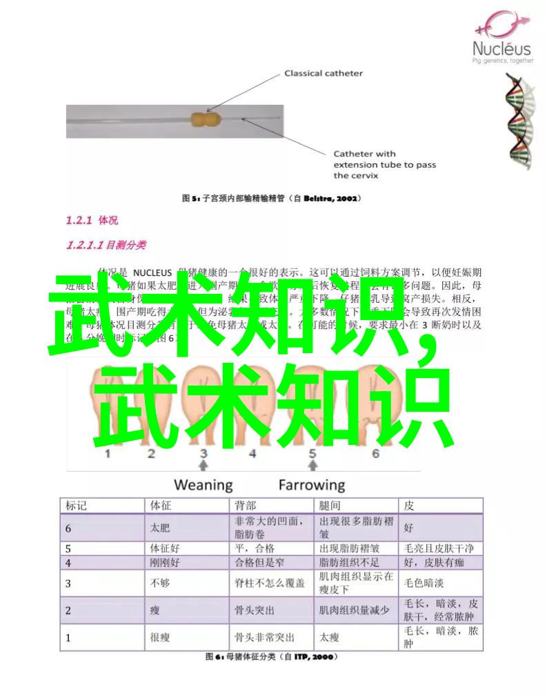 解读易经中的阴阳平衡理论与其对练习者的影响