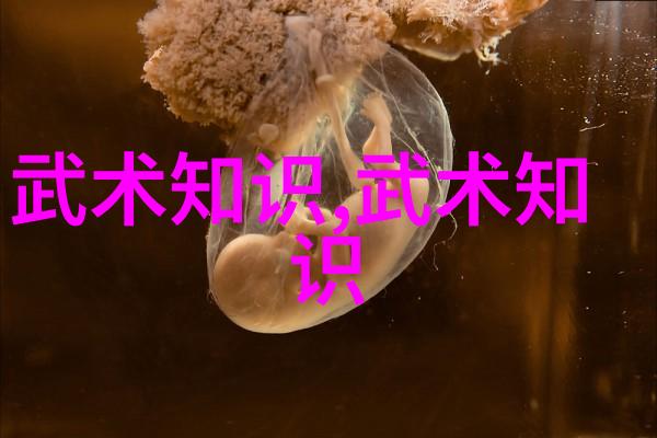 中国古代武学探秘揭秘传统拳法的深层奥义